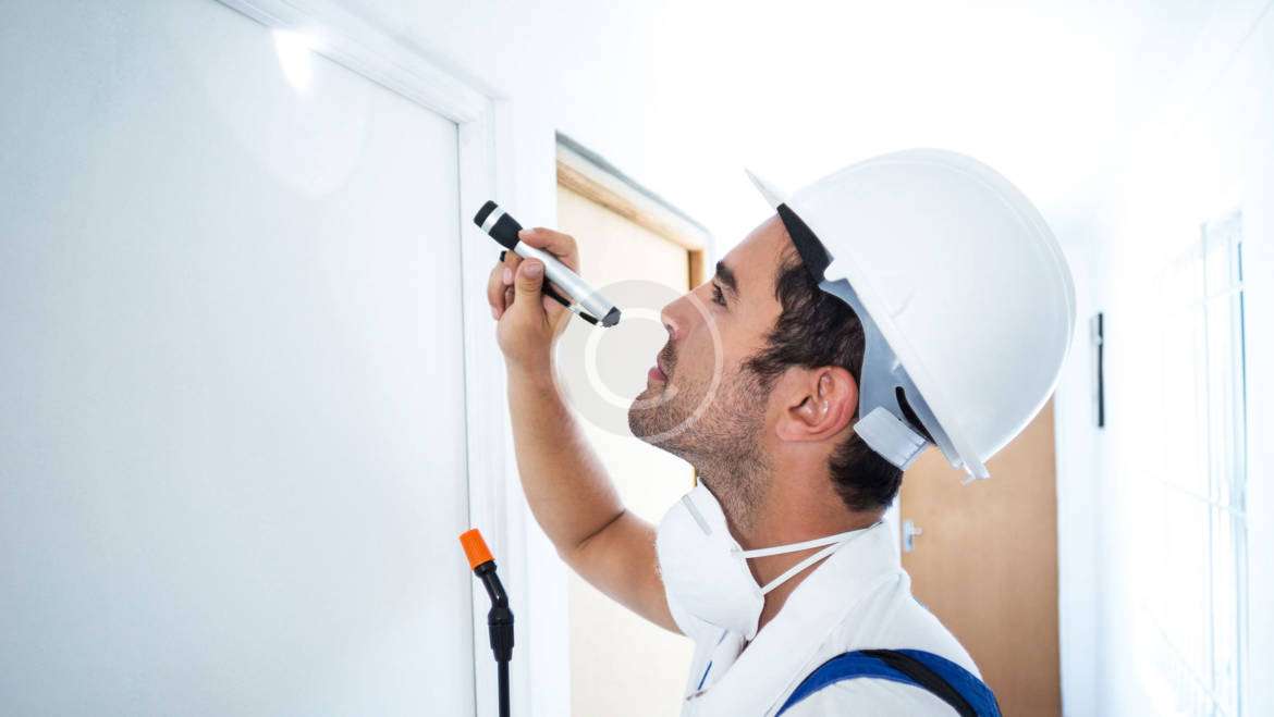 Top Rated Bed Bug Exterminators in 2025: What to Expect from Them?