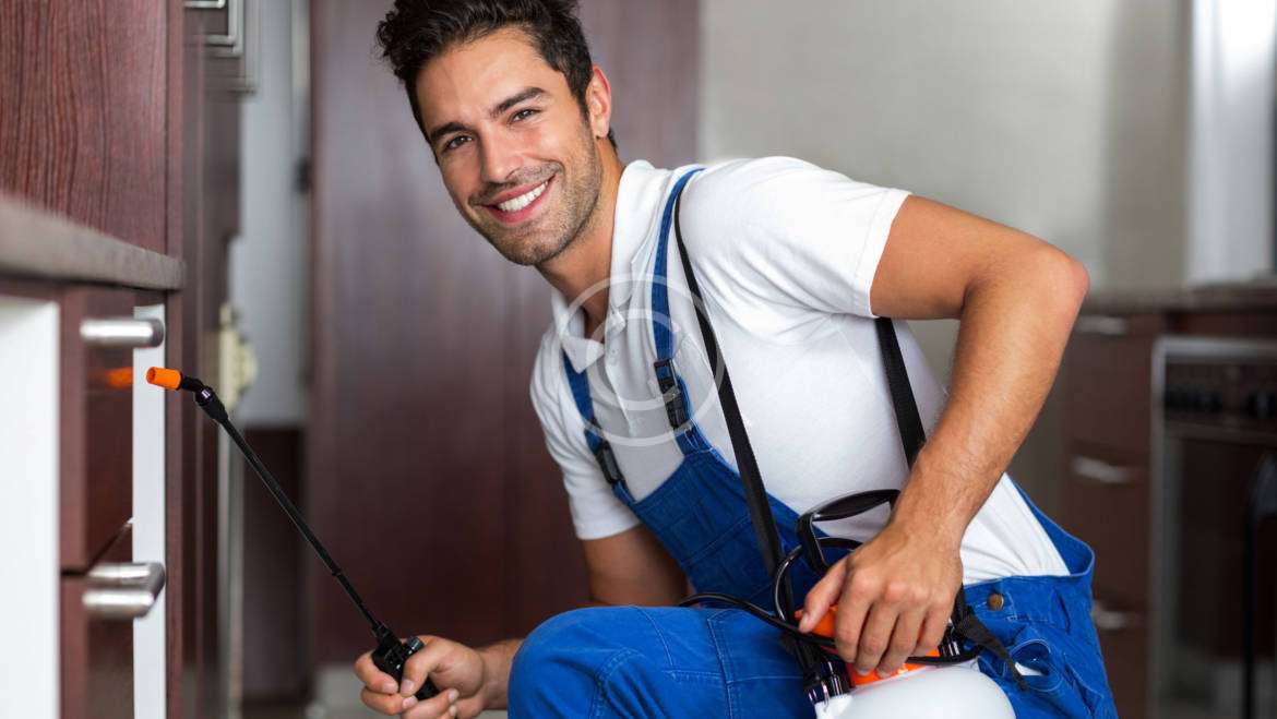 Monitor the Progress of a Bed Bug Treatment: Pro Tips that Work