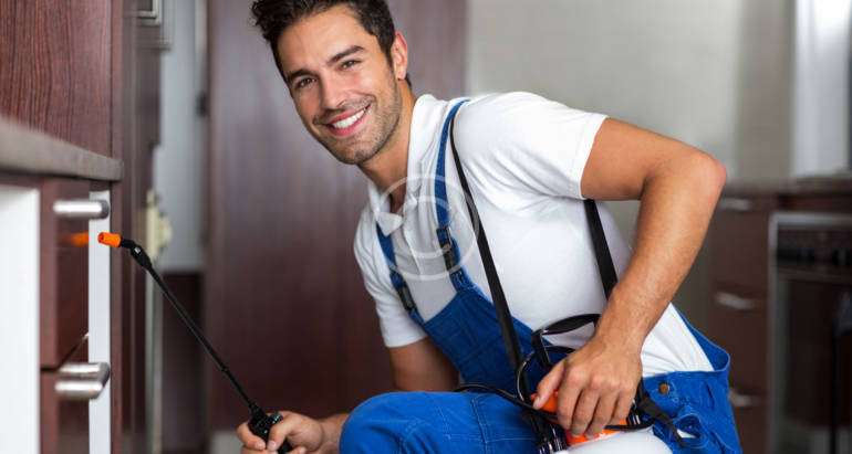 Monitor the Progress of a Bed Bug Treatment: Pro Tips that Work