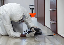 5 Reasons to choose MVO Pest Control in St. Thomas For Homes and Offices