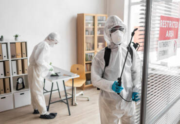 Why to Hire Professional Pest Control Services?