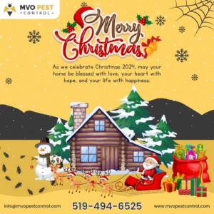 pest free Christmas 2024 MVO Christmas