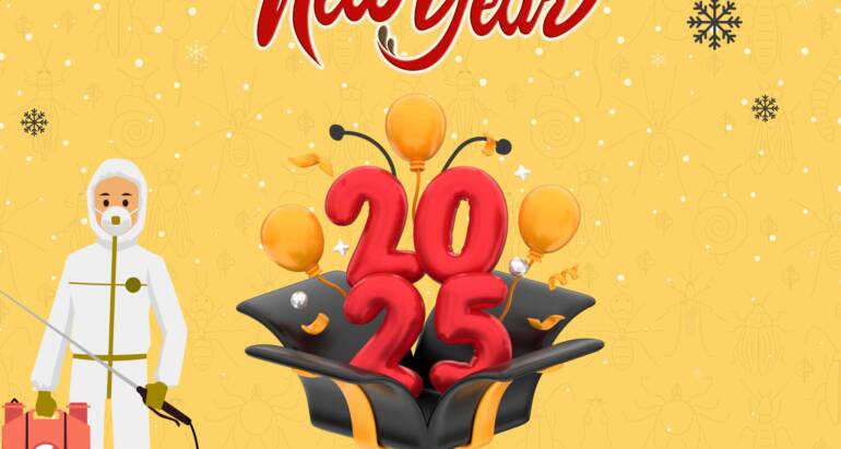 Pest Free New Year: How to Keep Your New Year’s Party Free of Bugs?