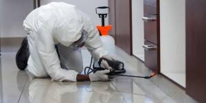 dangers of DIY pest control