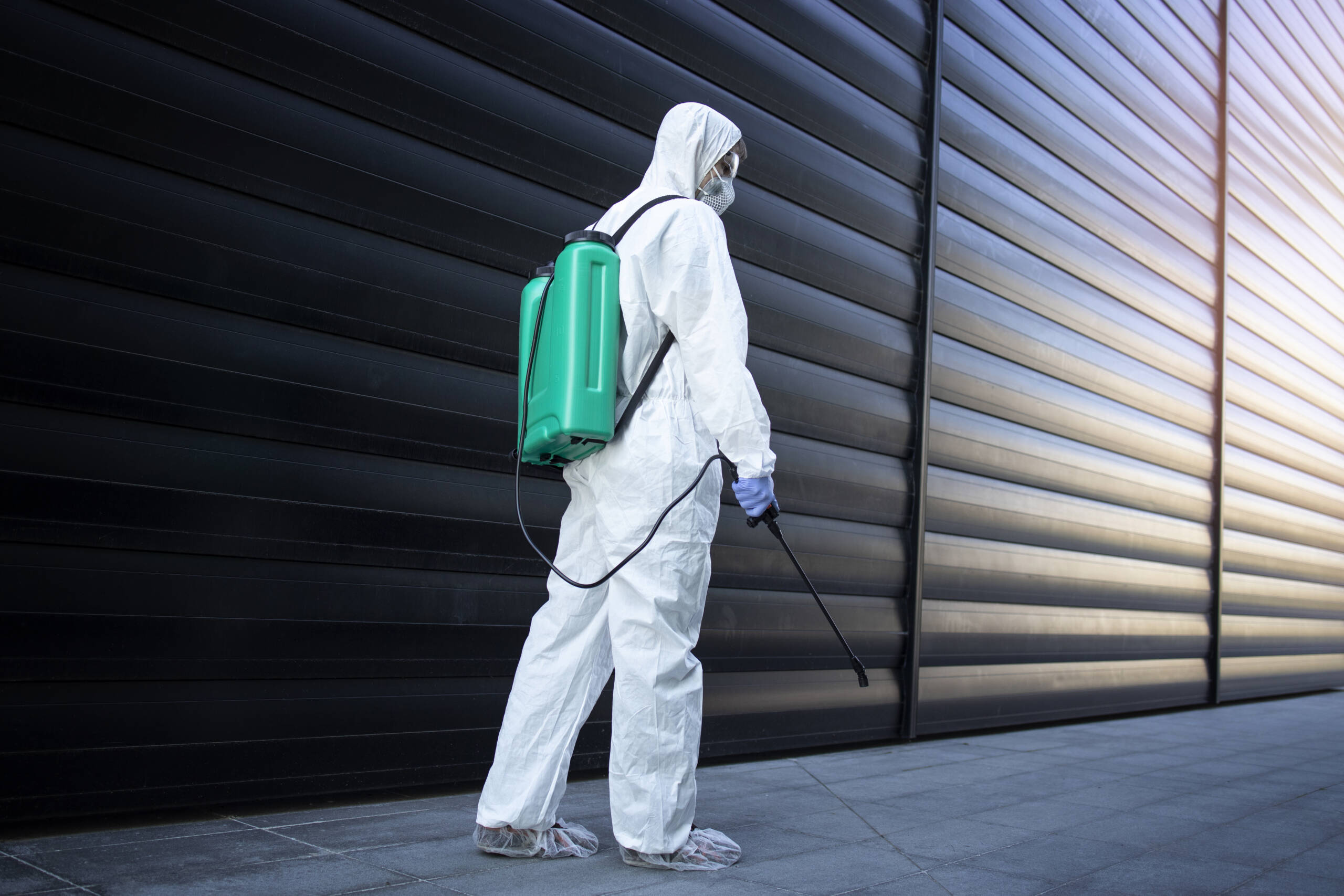 pest-control-London