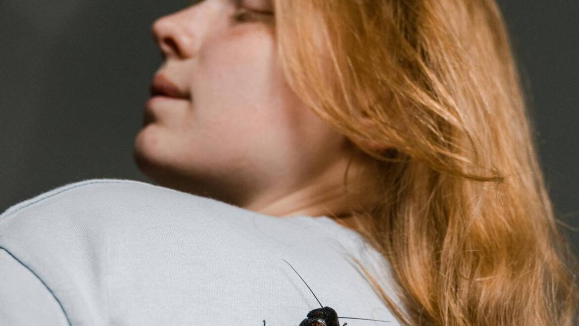 Control Cockroaches in Kitchener: Professional vs. DIY Methods