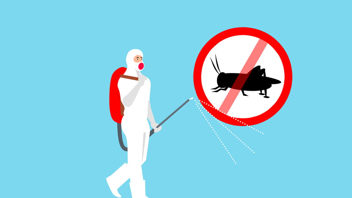 Pest Control Myths: Debunking the Most Common Misconceptions