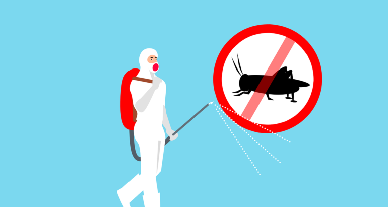 Pest Control Myths: Debunking the Most Common Misconceptions