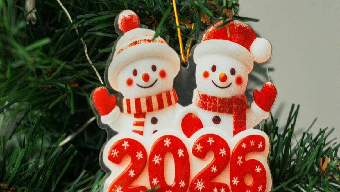 New Year Pest Inspection: Identify Risks and Prevent Infestations Early