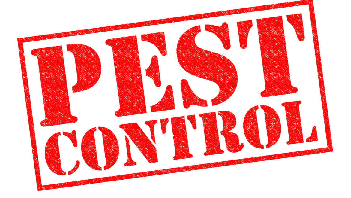 Ways to Keep Pests Out: Safe Solutions for Families and Pets