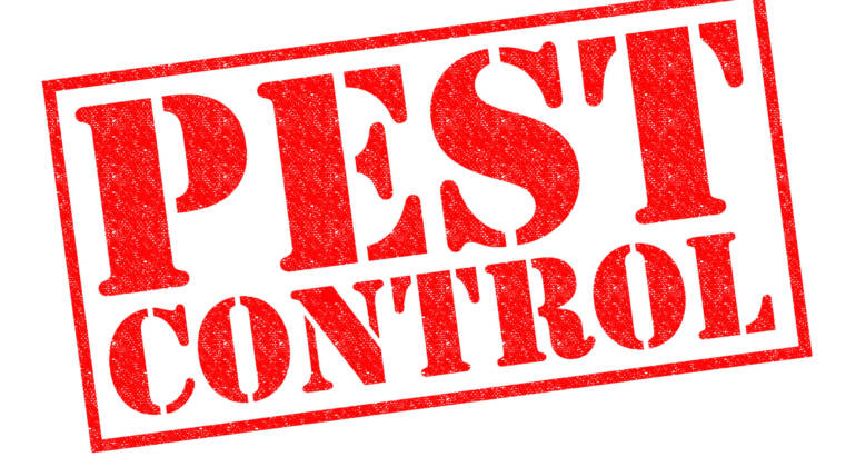 Ways to Keep Pests Out: Safe Solutions for Families and Pets