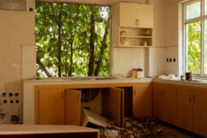 Signs of Pest Infestation in Kitchen