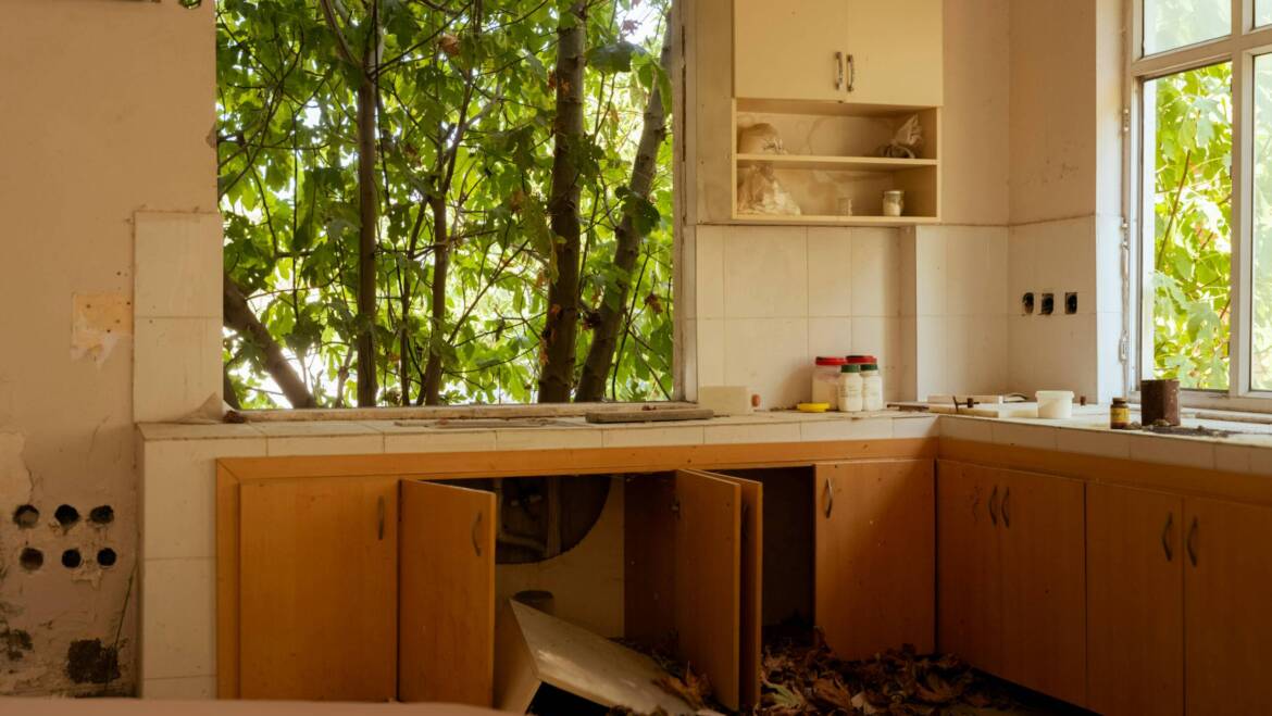 Signs of Pest Infestation in Kitchen