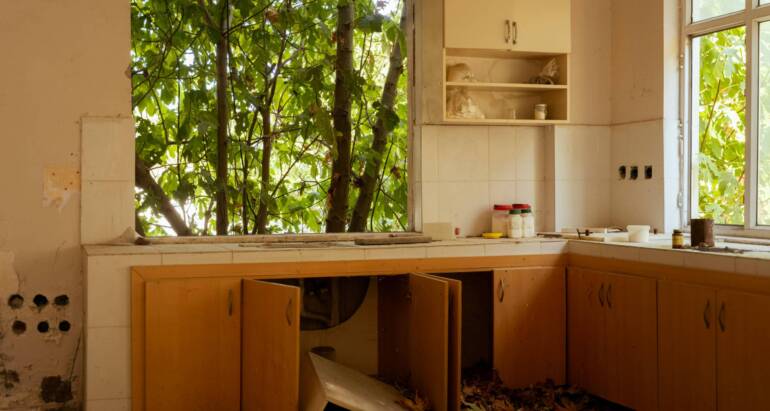 Signs of Pest Infestation in Kitchen