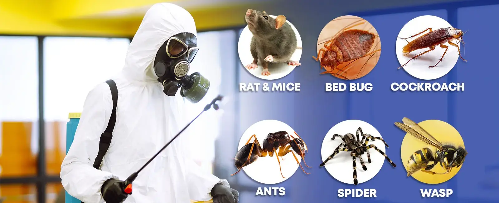 pest-control-sarnia