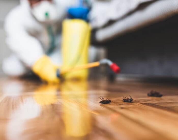 pest-control-sarnia