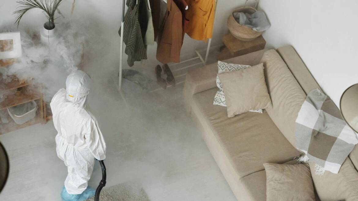 Smart Pest Strategies: Smarter Ways to Stop Infestations