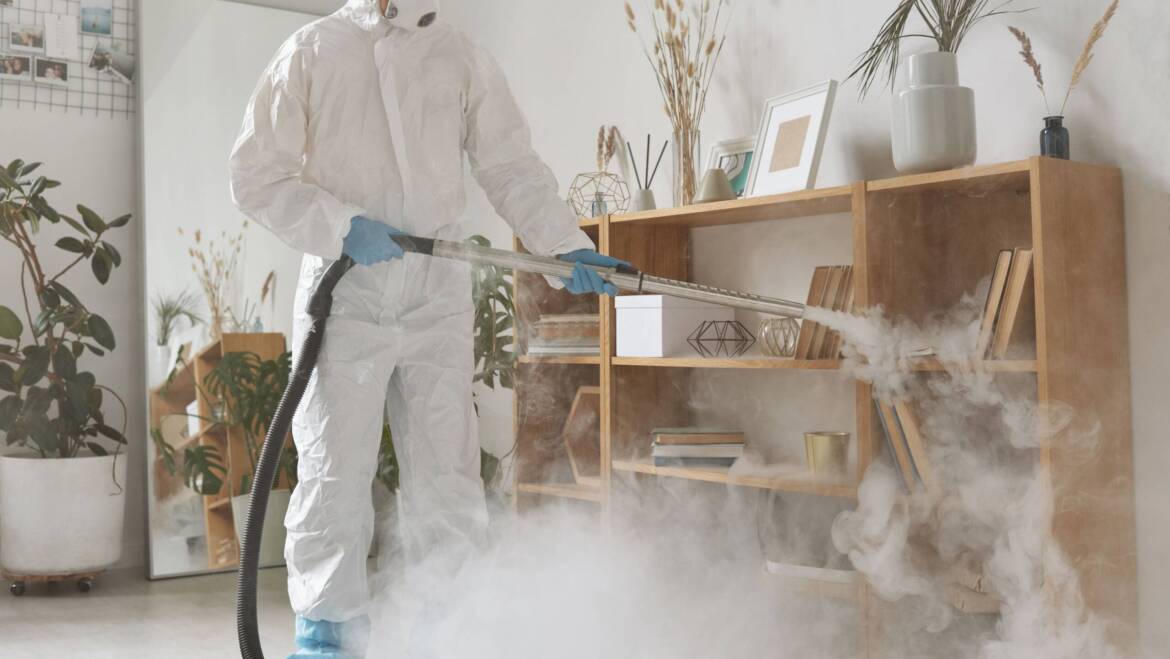 Pest Prevention Checklist: Protect Your Home Year-Round