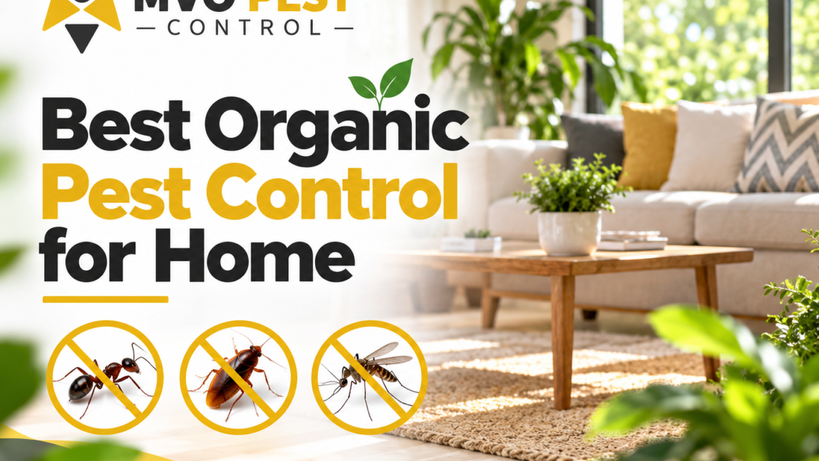 Best Organic Pest Control for Home