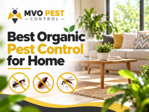 best organic pest control for home