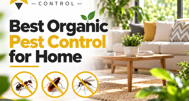 Best Organic Pest Control for Home